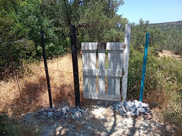Kapu